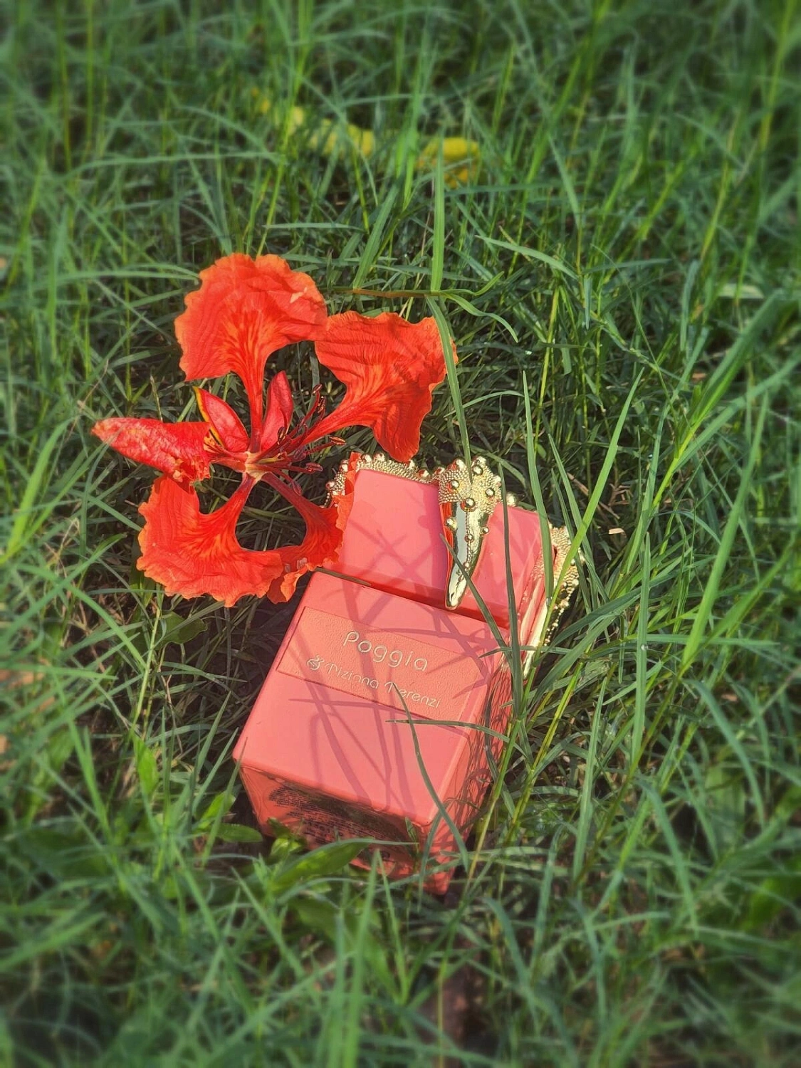 Tiziana Terenzi Poggia