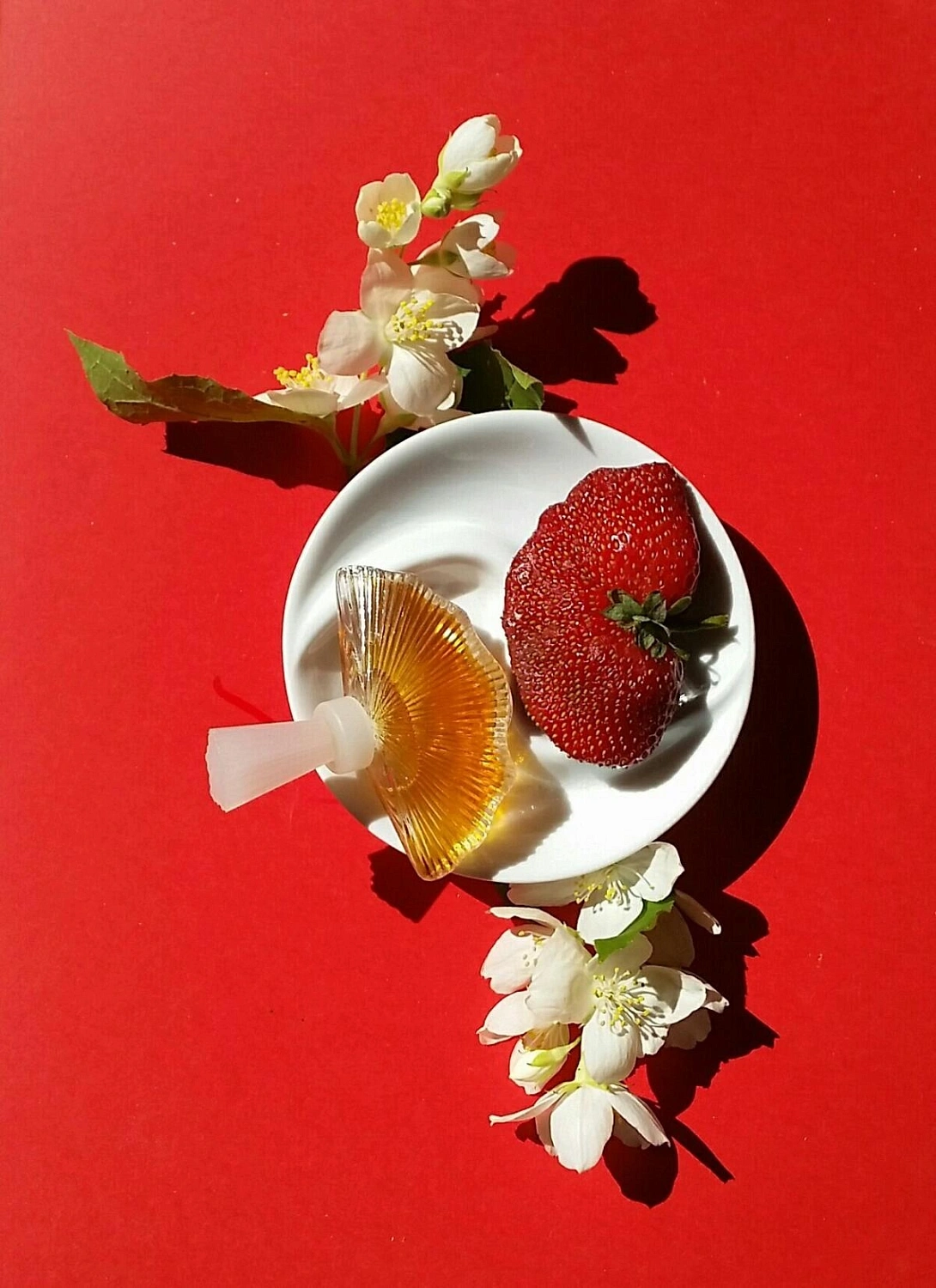 Valentino Vendetta Donna