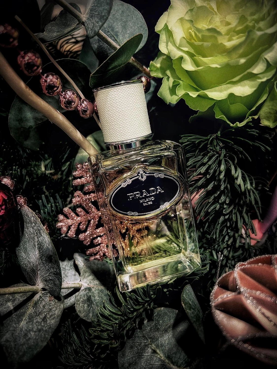 Prada Infusion d’Iris (2015)