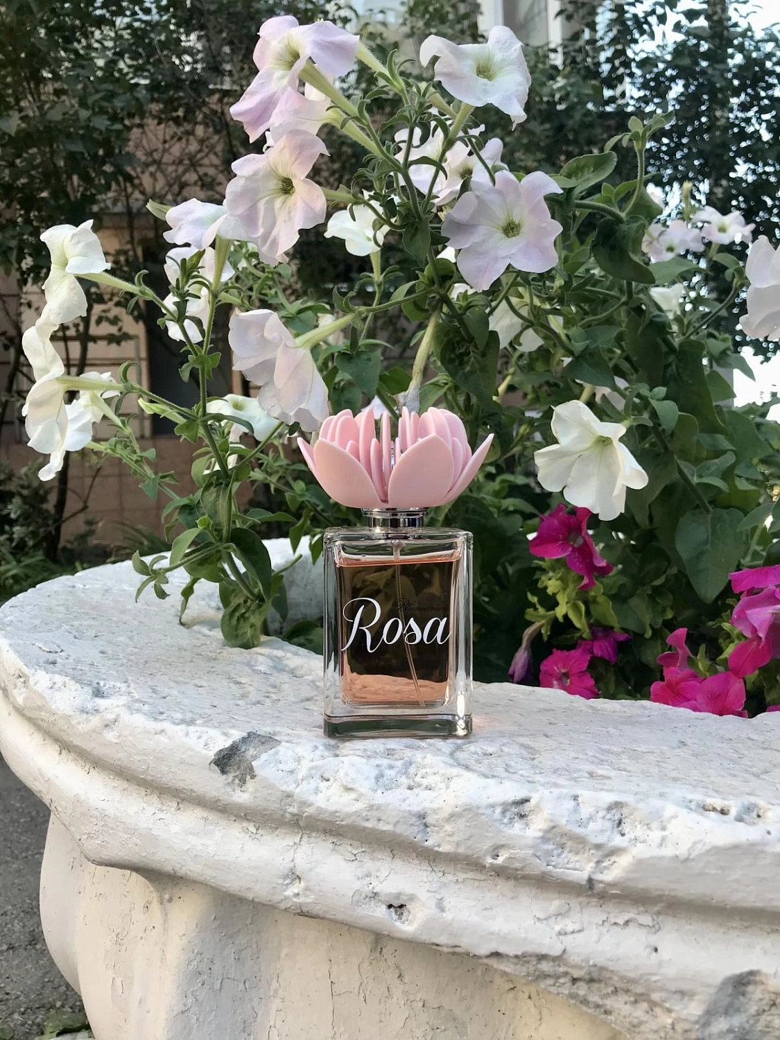 Blumarine Rosa