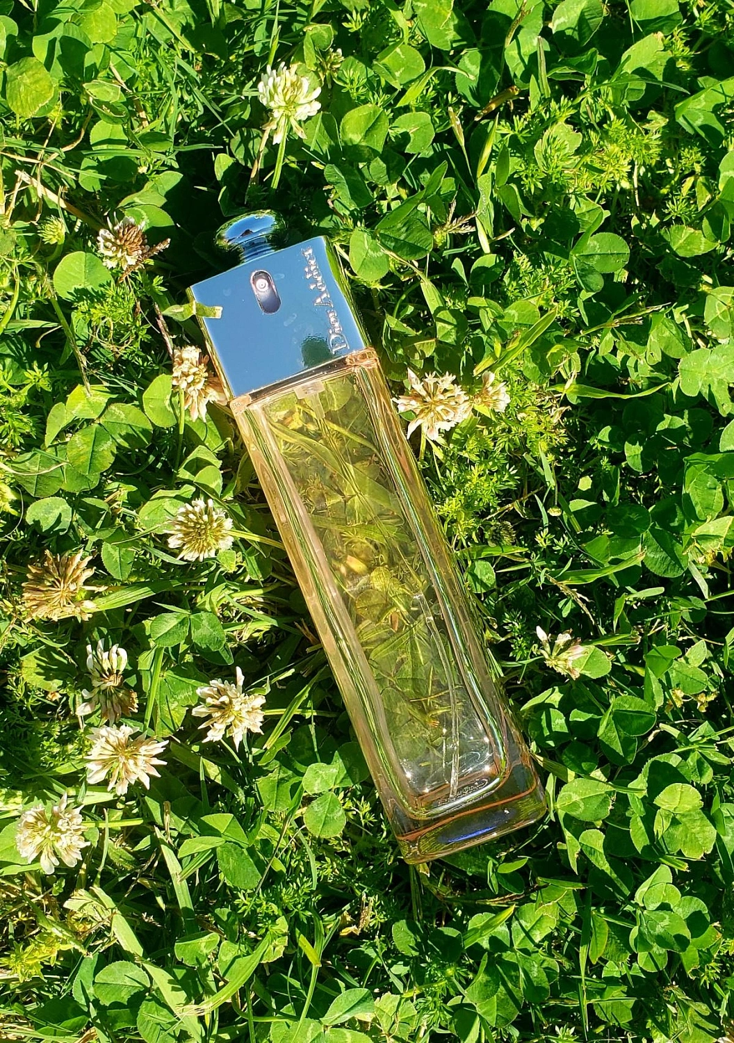 Christian Dior Dior Addict Shine