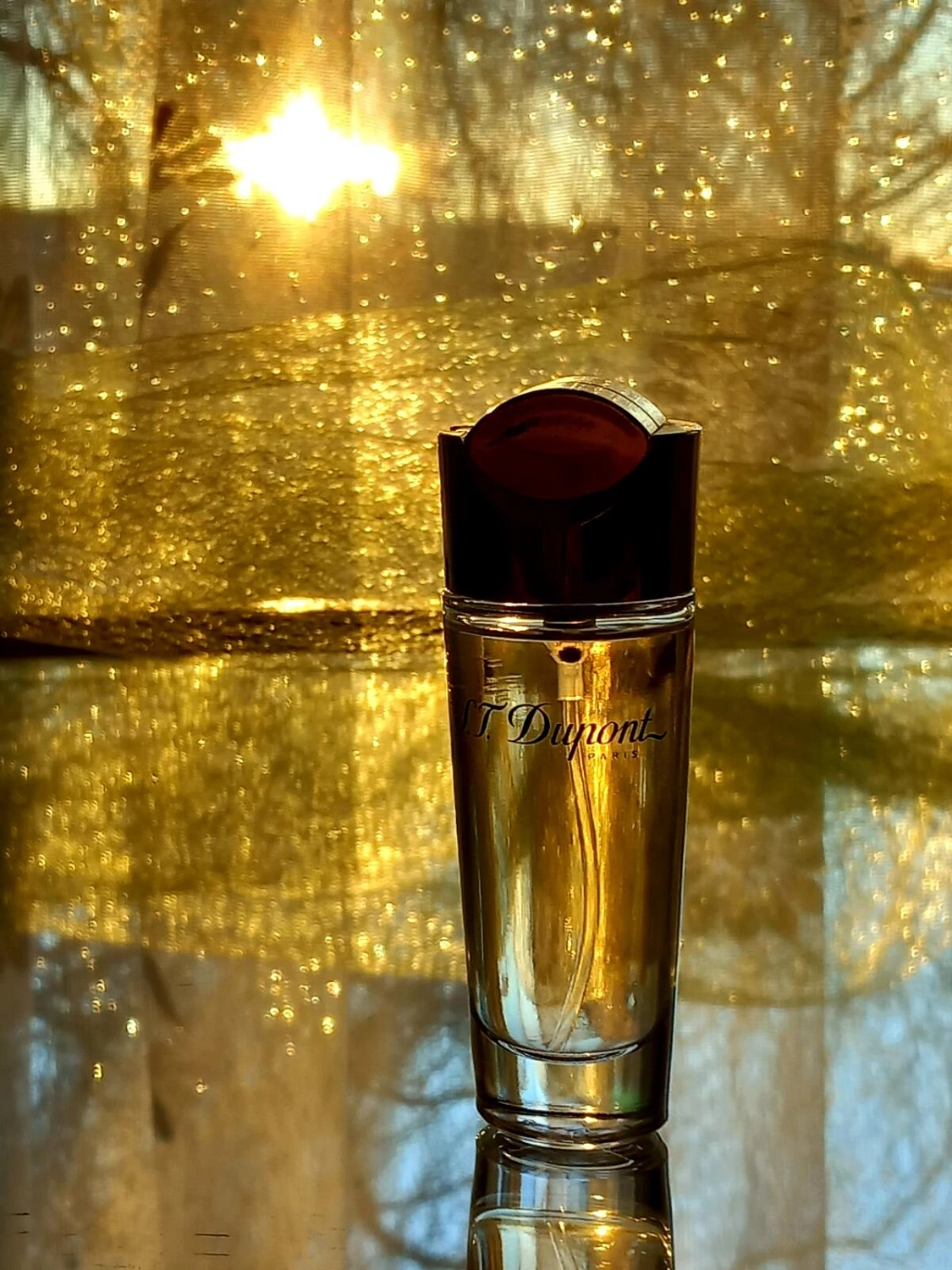 S.T.Dupont S.T. Dupont pour Femme S.T.Dupont S.T. Dupont pour Femme