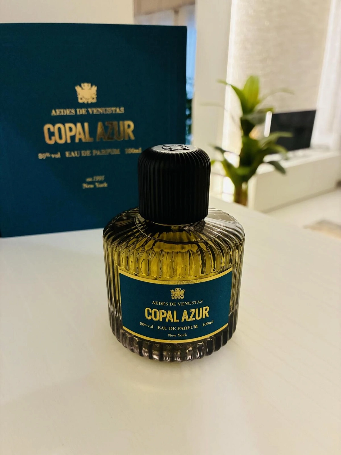 Aedes de Venustas Copal Azur