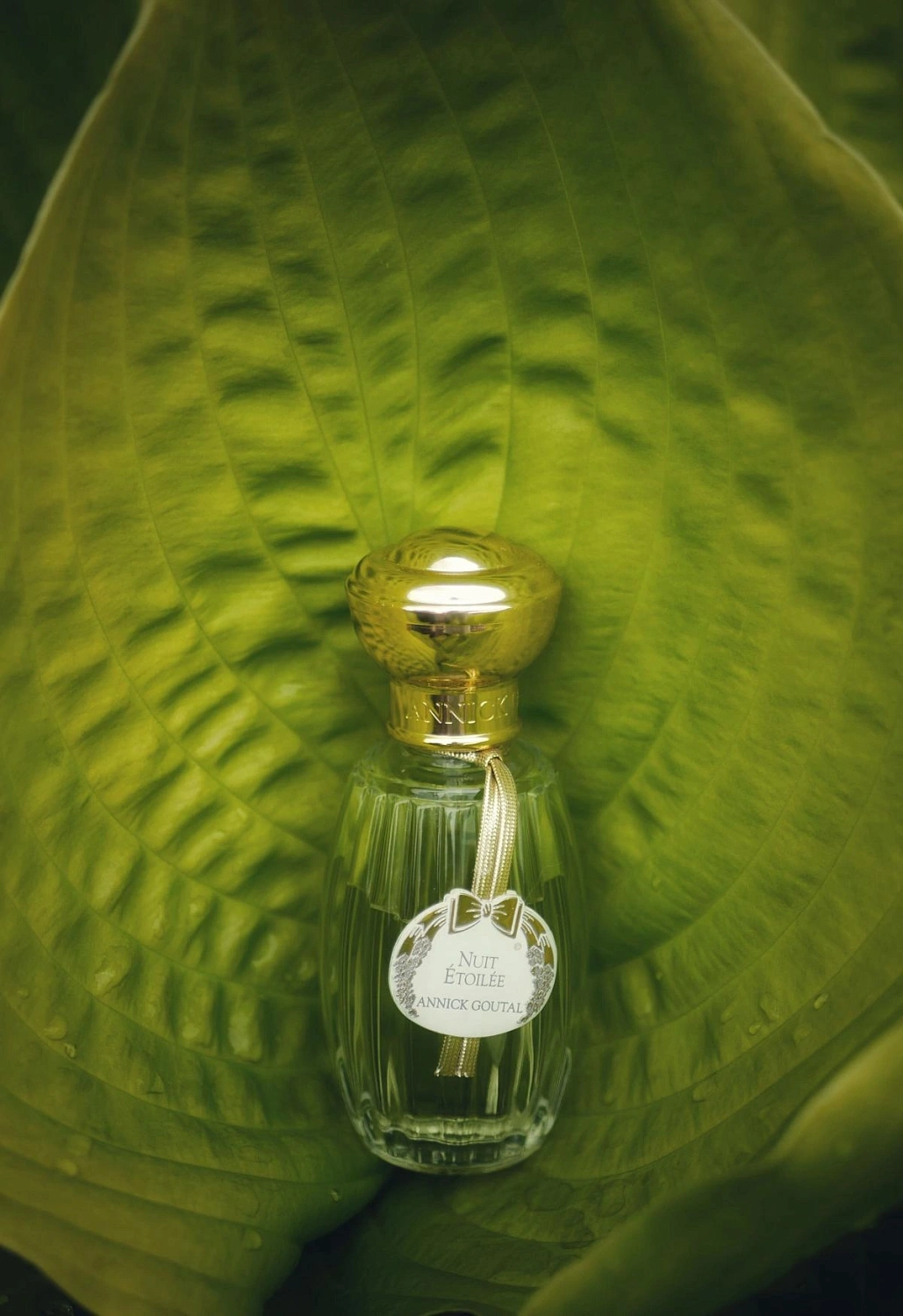 Annick Goutal Nuit Etoilee