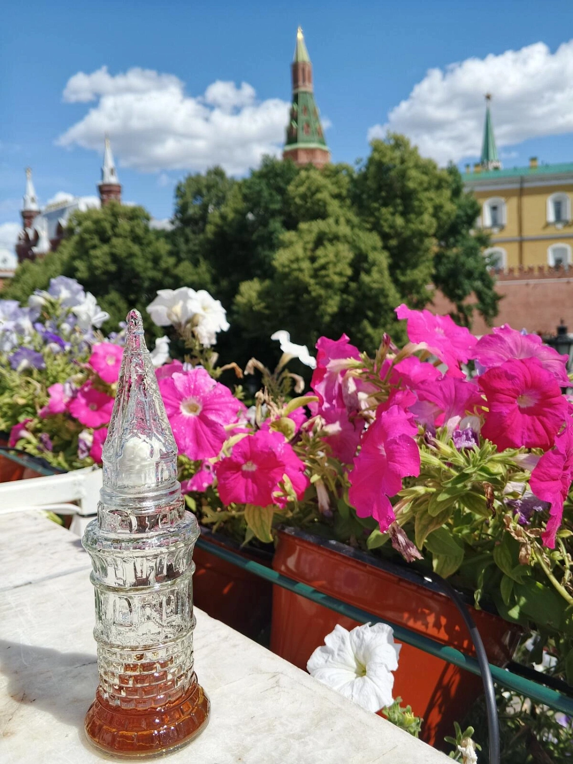 Novaya Zarya (Новая Заря) Кремль (The Kremlin)