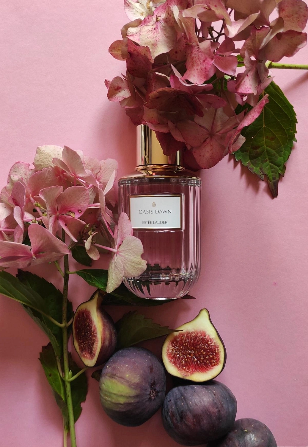 Estee Lauder Oasis Dawn Estee Lauder Oasis Dawn
