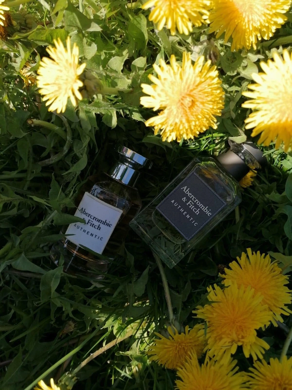 Abercrombie & Fitch Authentic Man