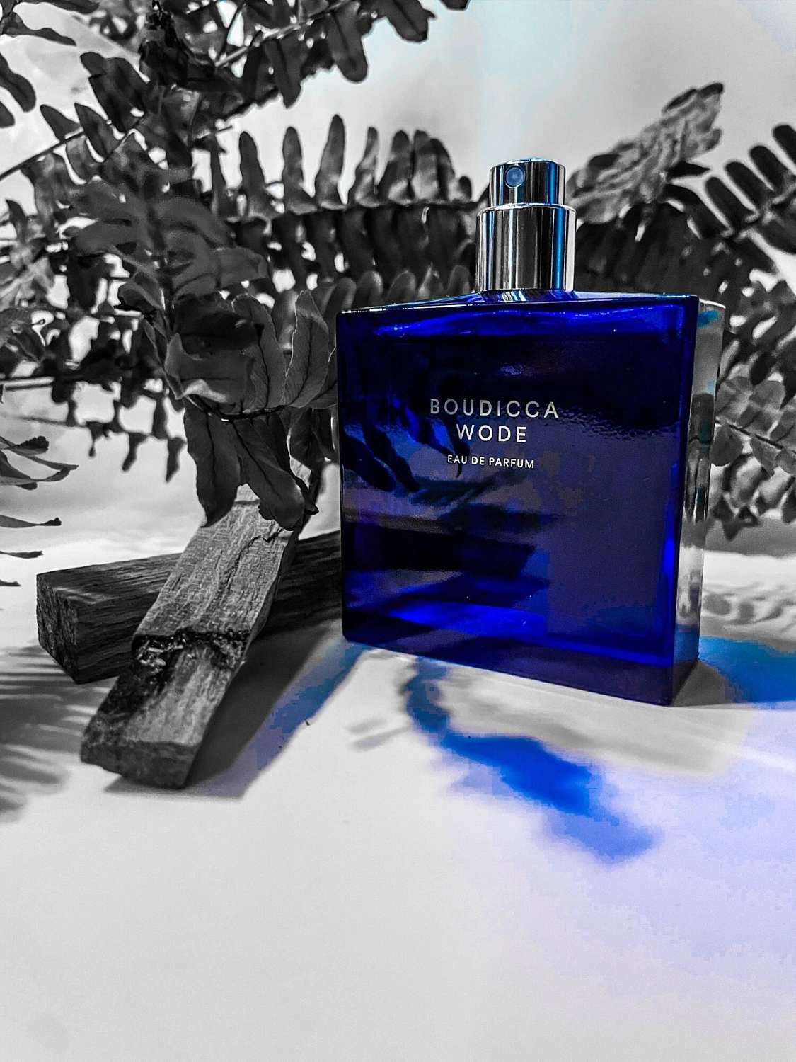 Boudicca Wode