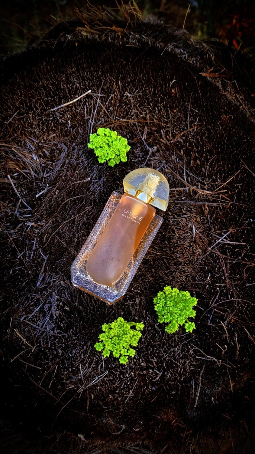 Lalique Lalique