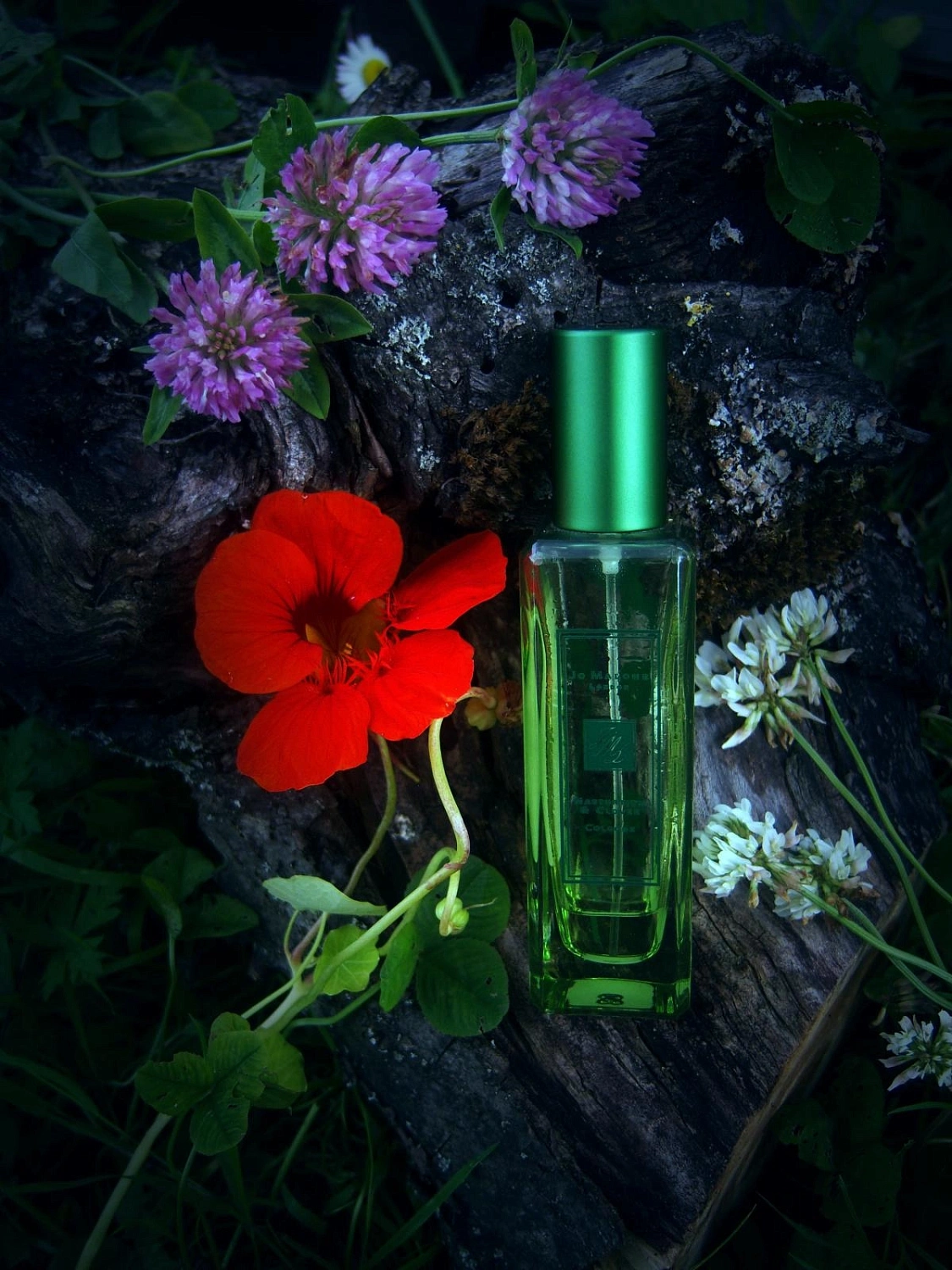 Jo Malone Nasturtium & Clover