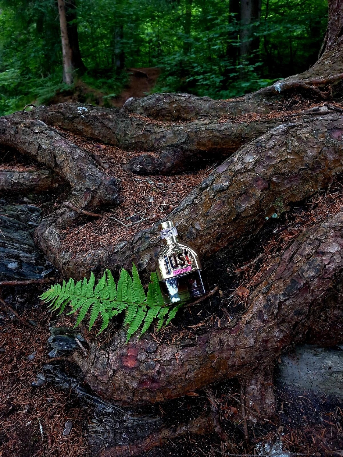 Roberto Cavalli Just Cavalli 2013