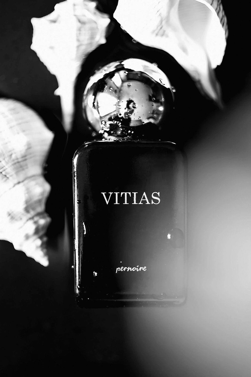 Pernoire Vitias