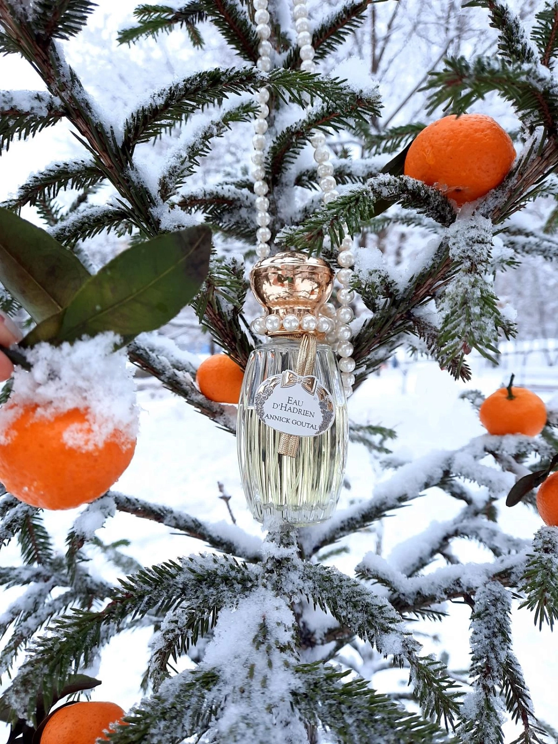 Annick Goutal Eau d’Hadrien Men