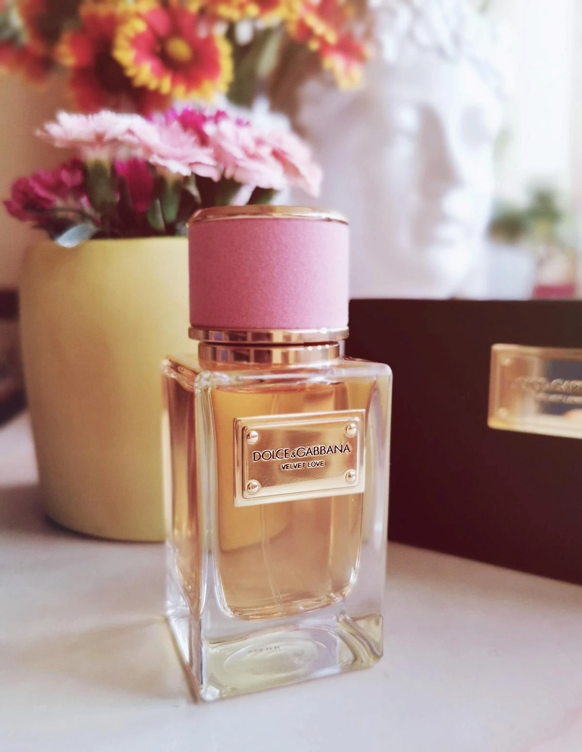 DOLCE & GABBANA Velvet Love