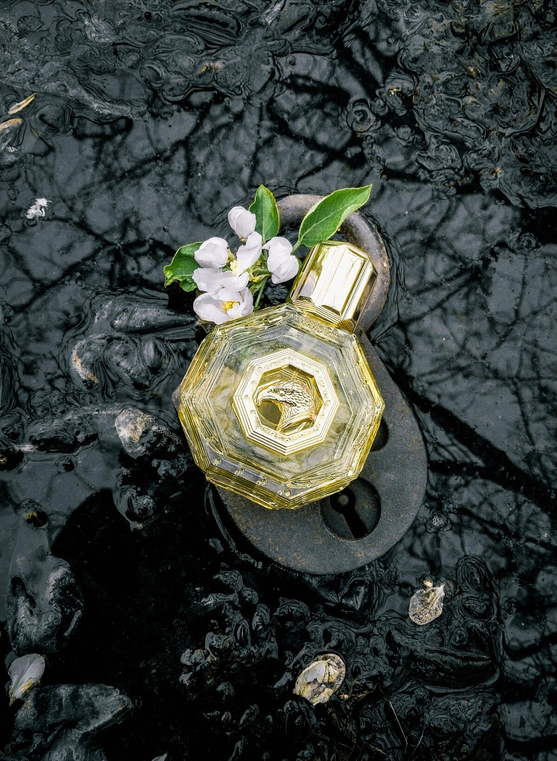 Stefano Ricci Royal Eagle Gold