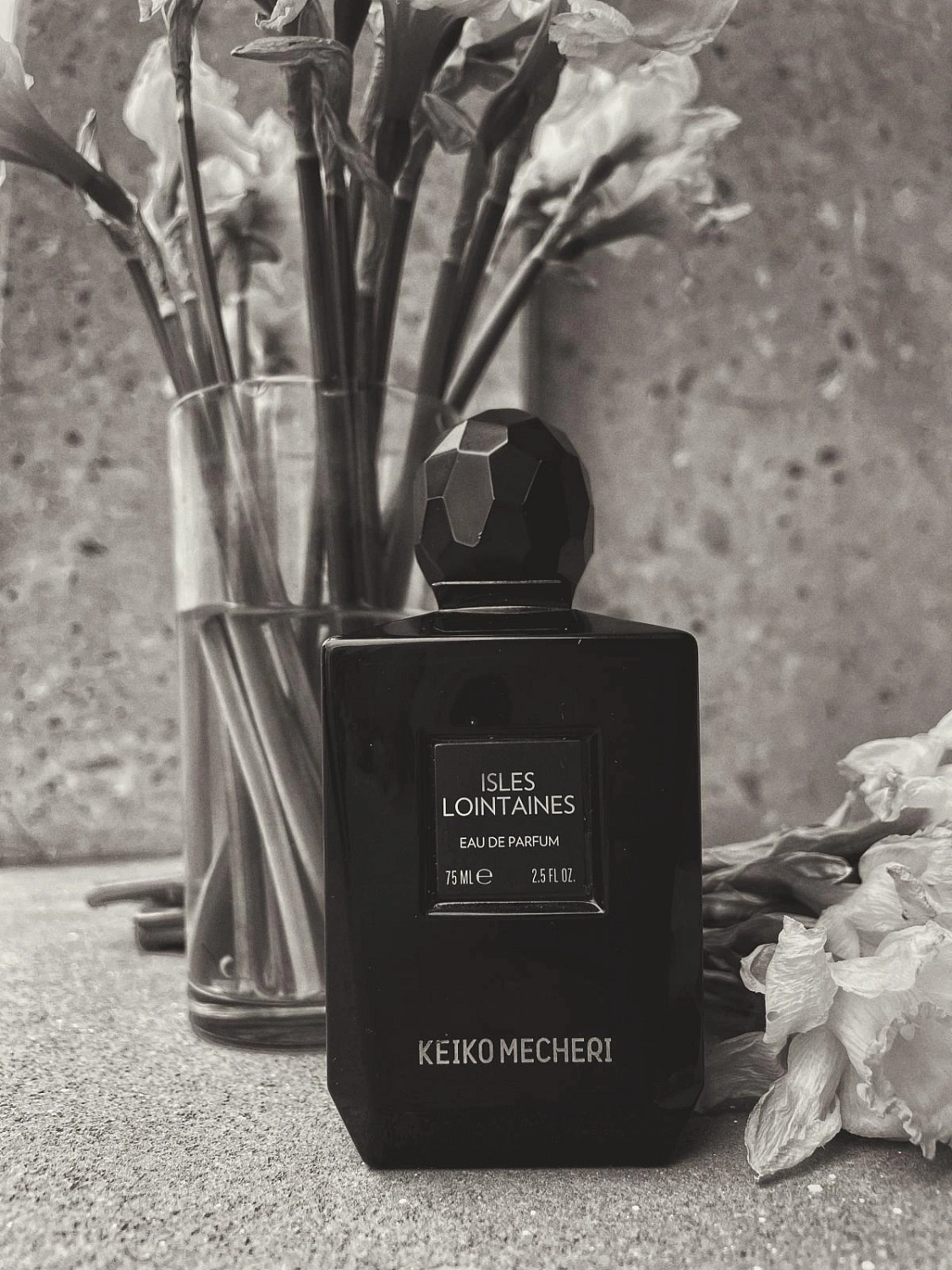 Keiko Mecheri Isles Lointaines