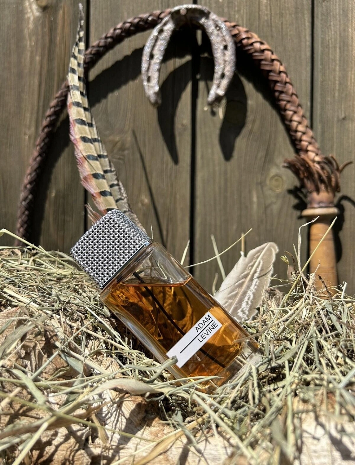 Adam Levine for Women