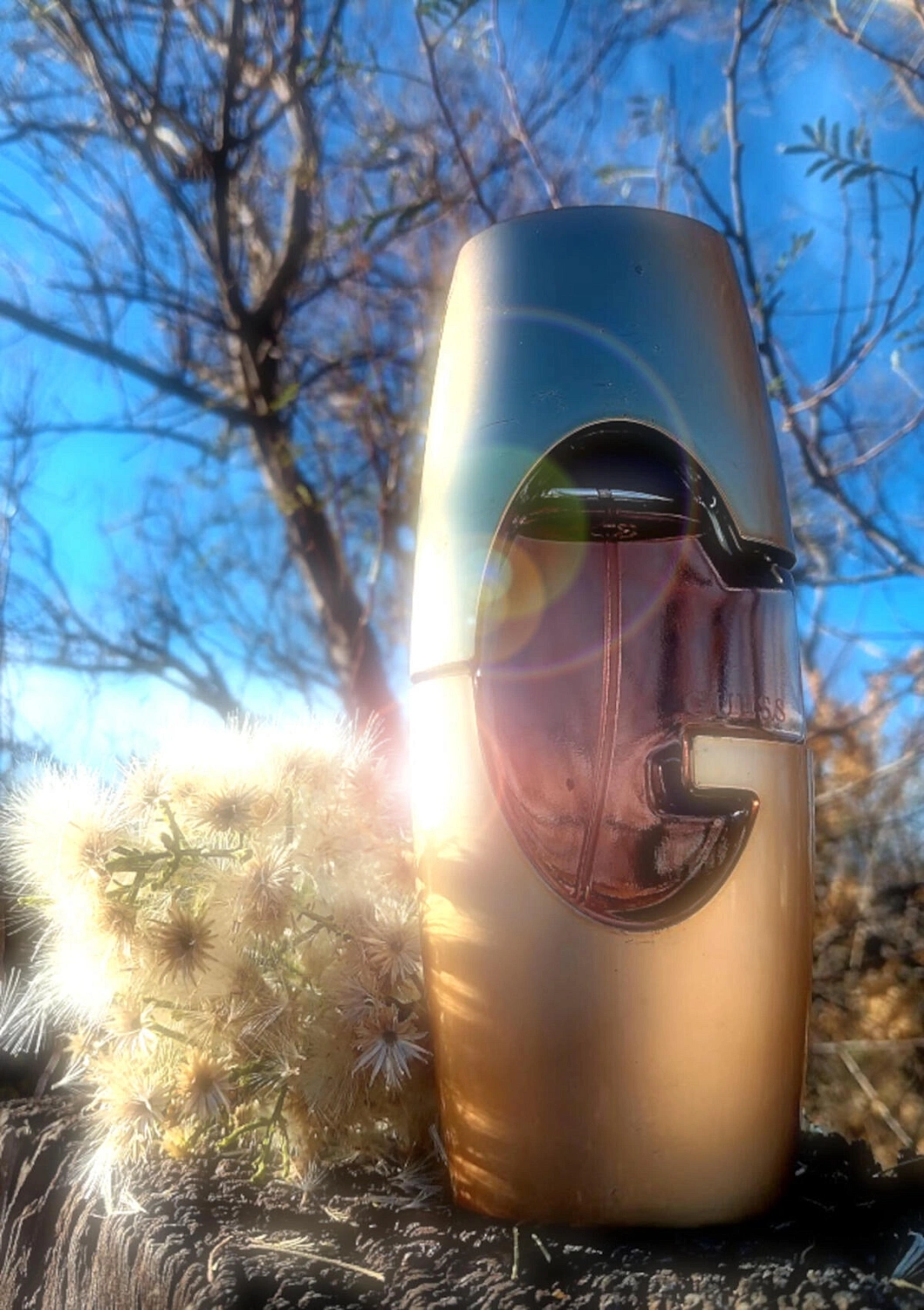 Guess Gold Guess Gold