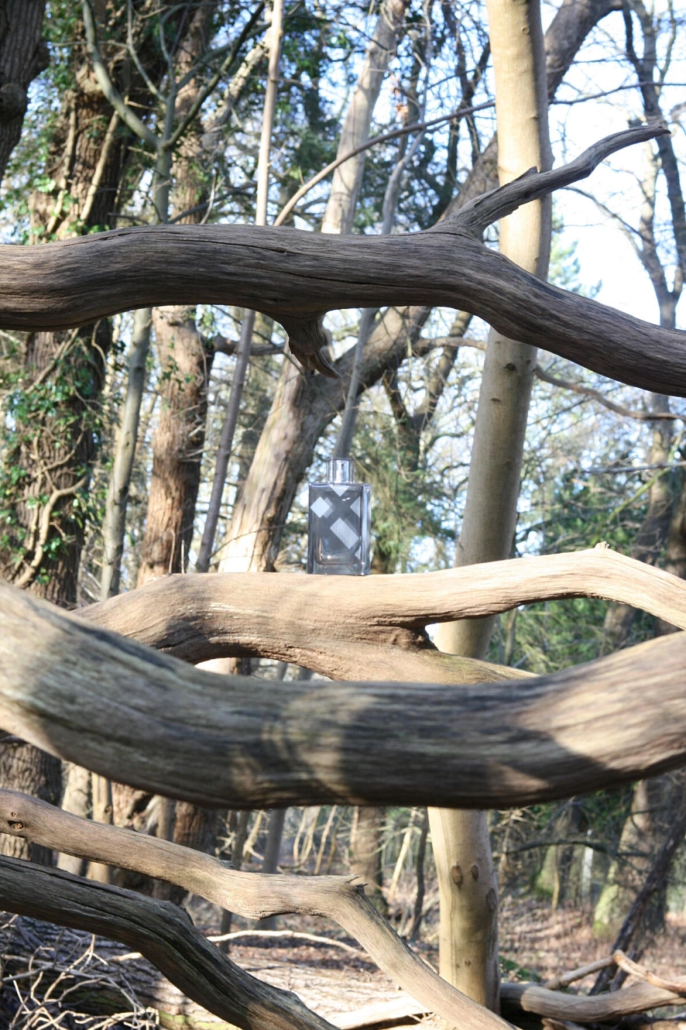 Burberry Brit For Men