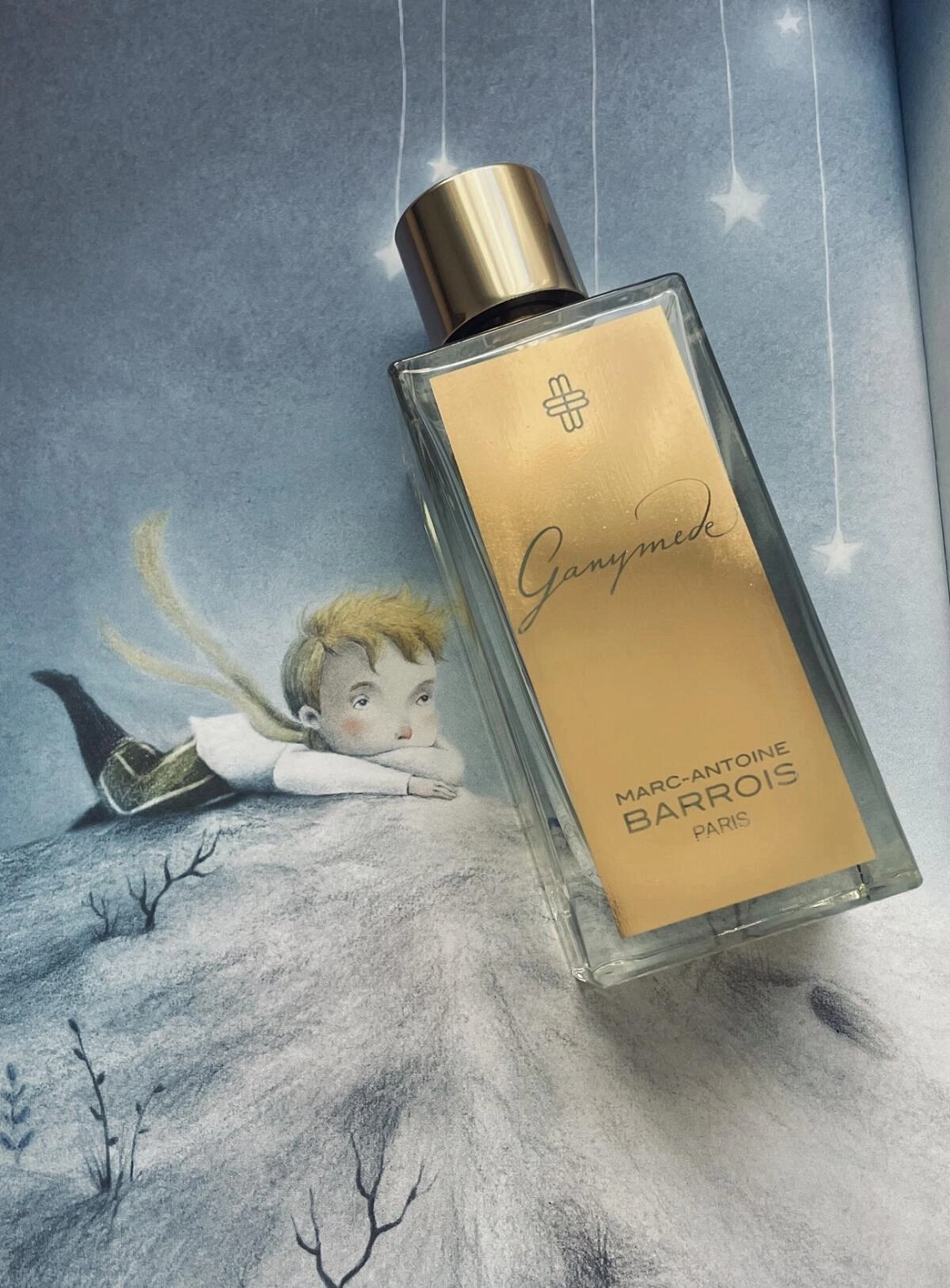 Marc-Antoine Barrois Ganymede