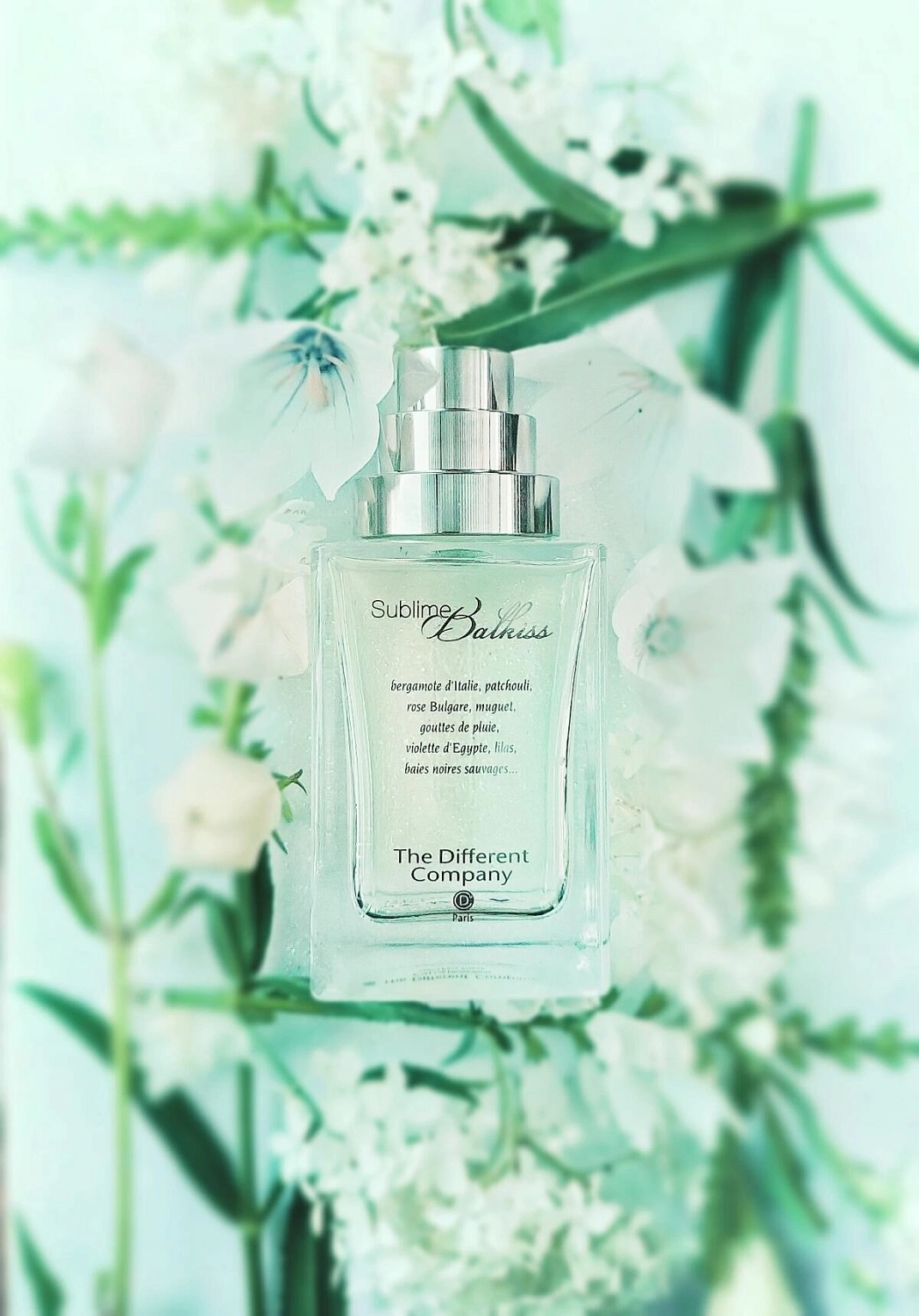 The Different Company Sublime Balkiss