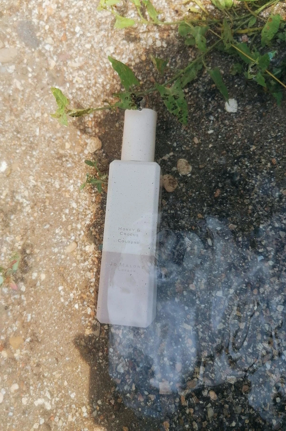 Jo Malone Honey & Crocus