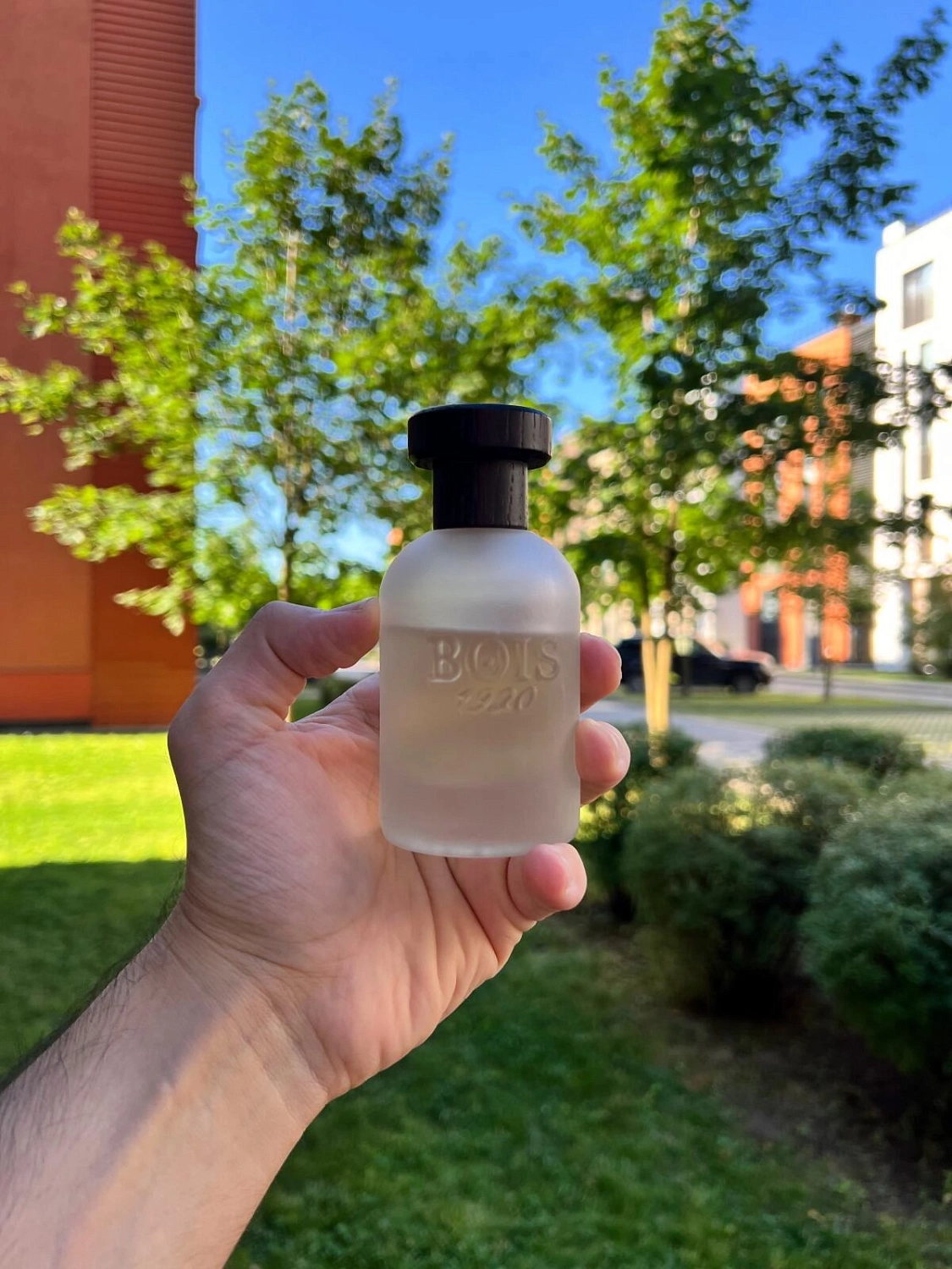 Bois 1920 Classic 1920