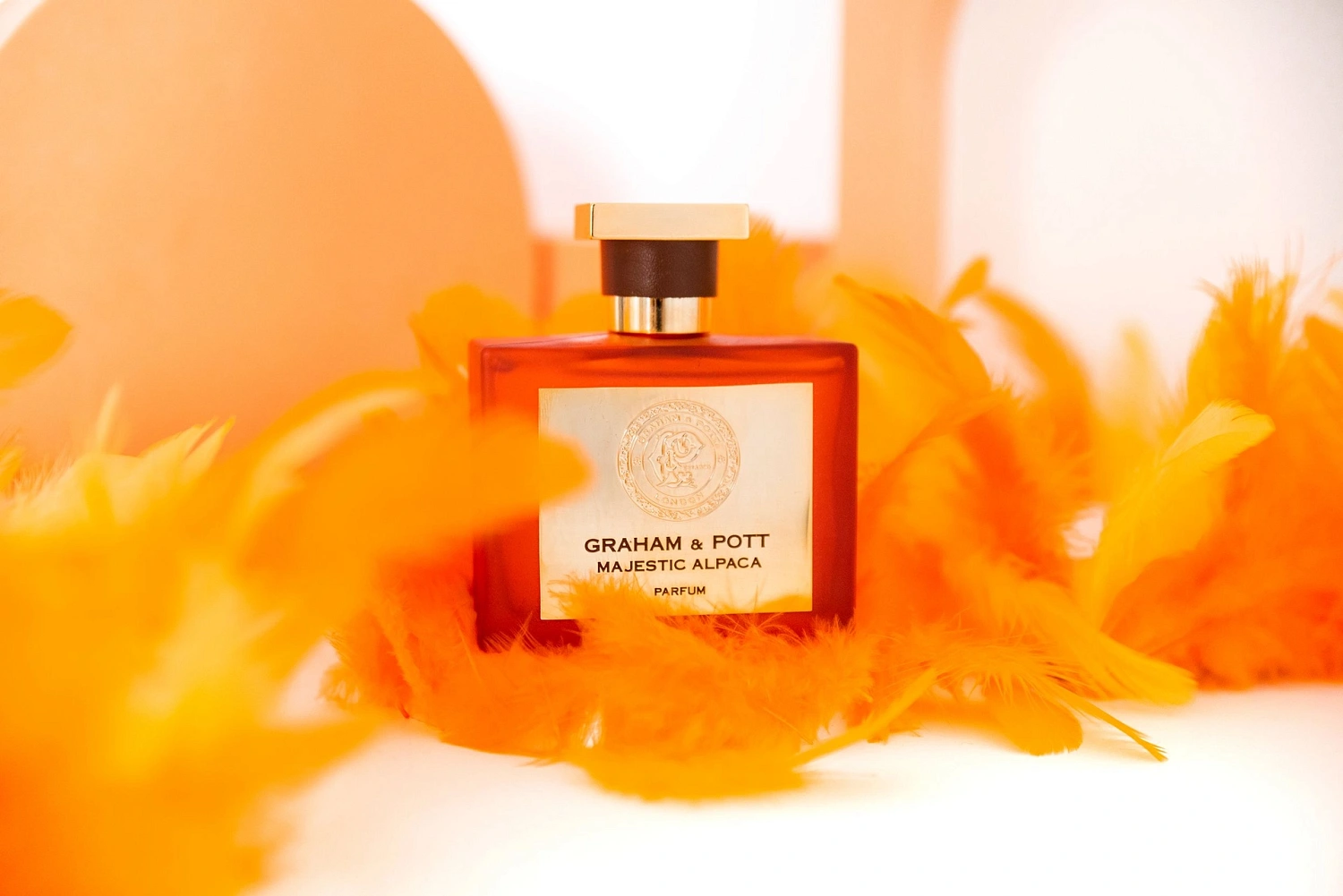 Graham & Pott Majestic Alpaca