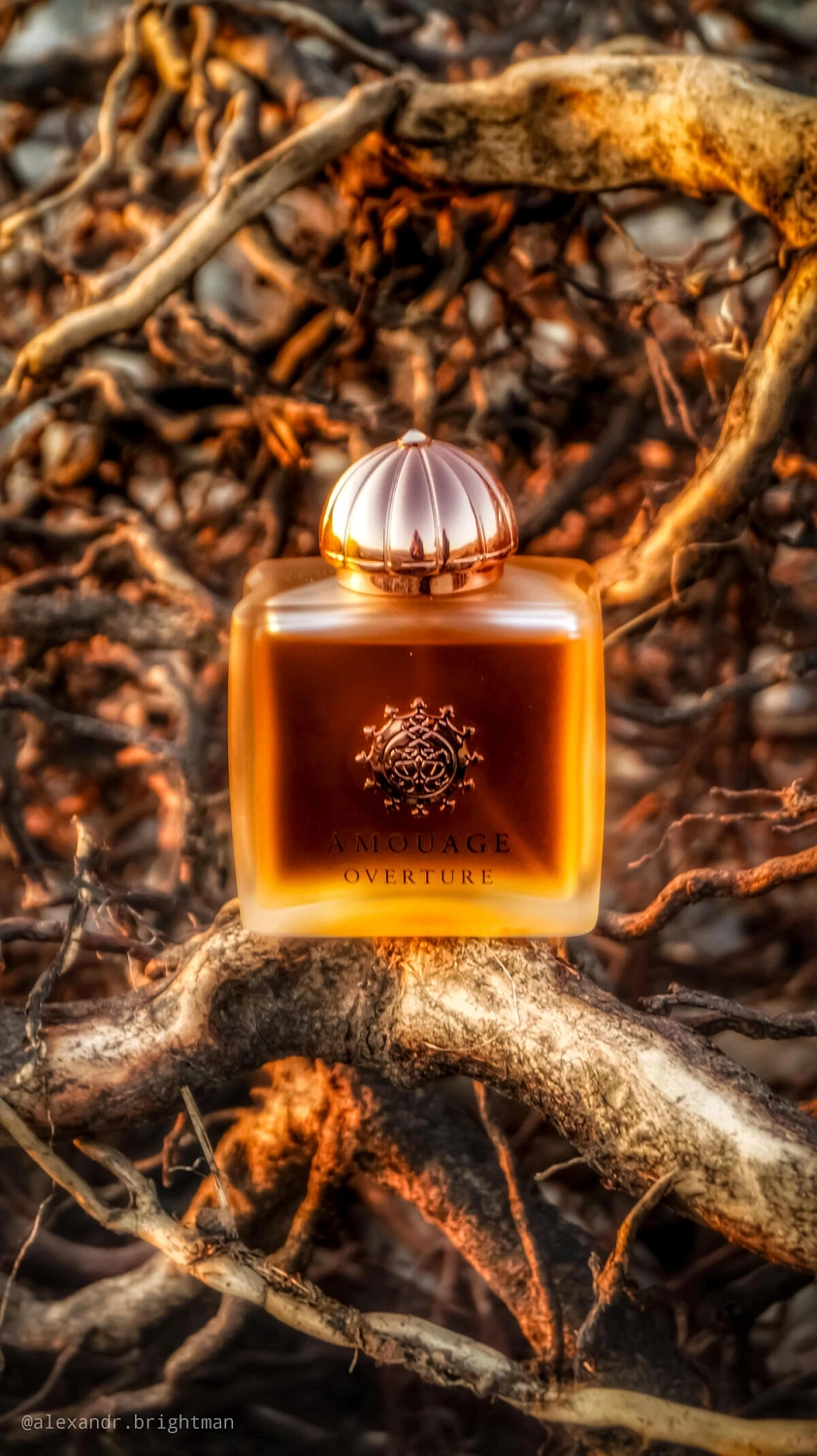 Amouage Overture Women