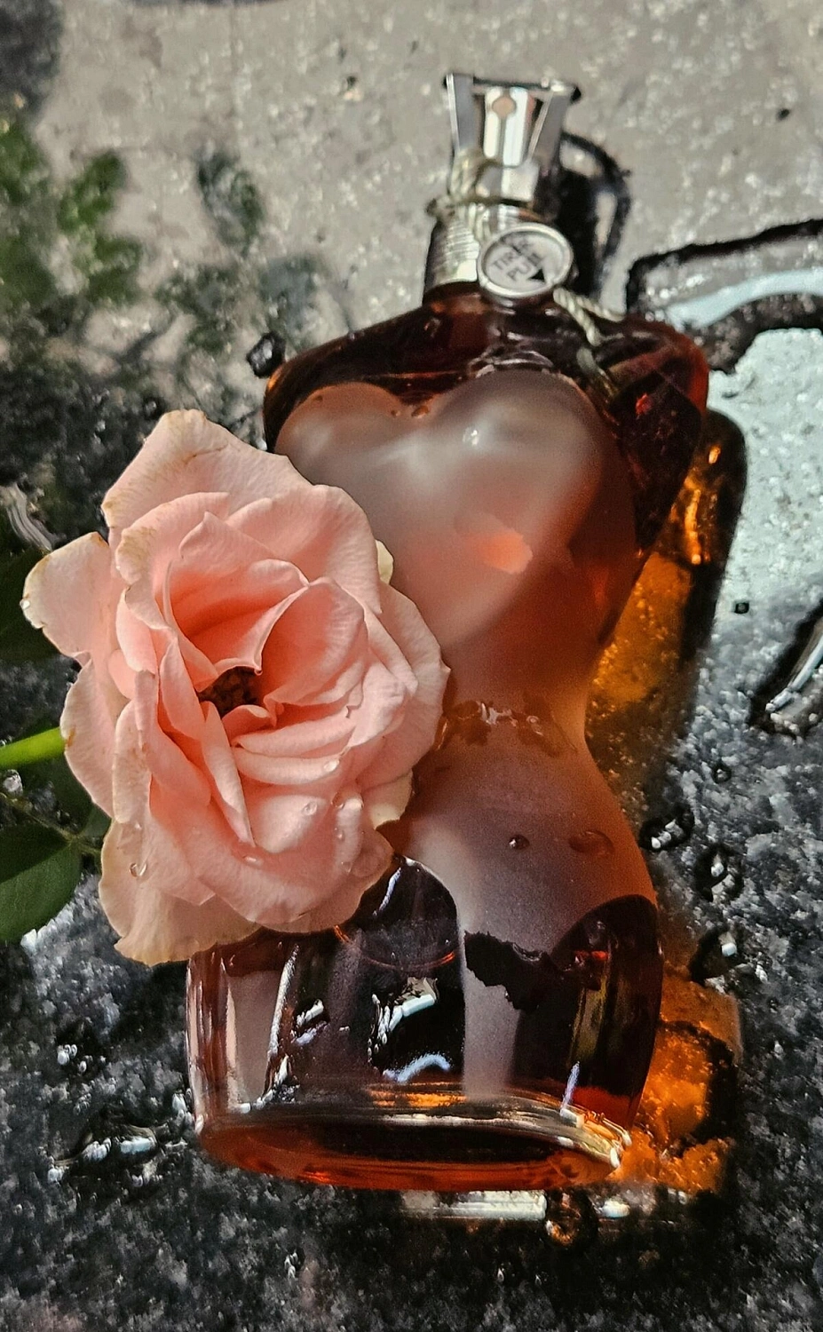 Jean Paul Gaultier Classique