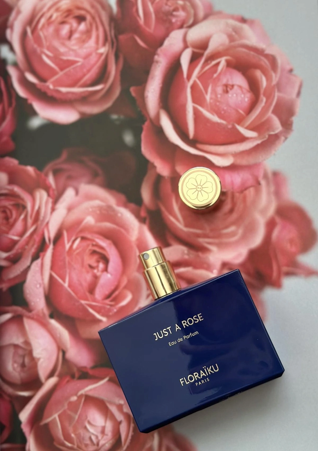 Floraiku Just A Rose