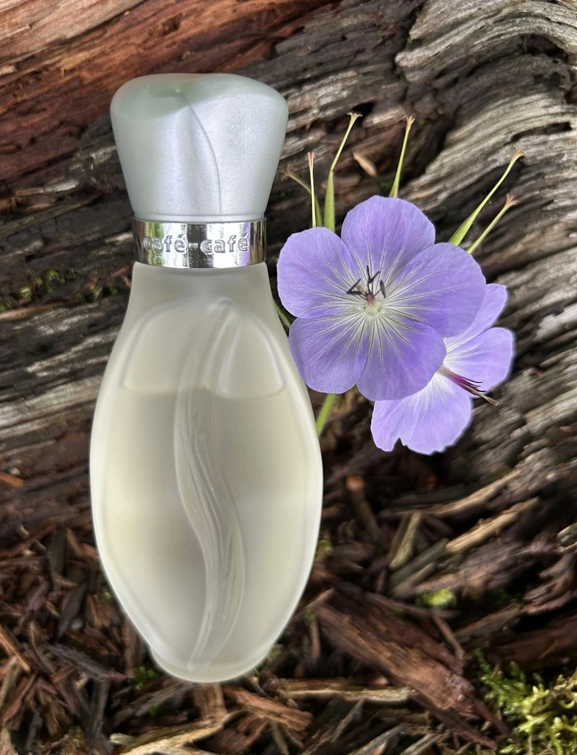 Cafe Parfums Cafe-Cafe Pour Homme