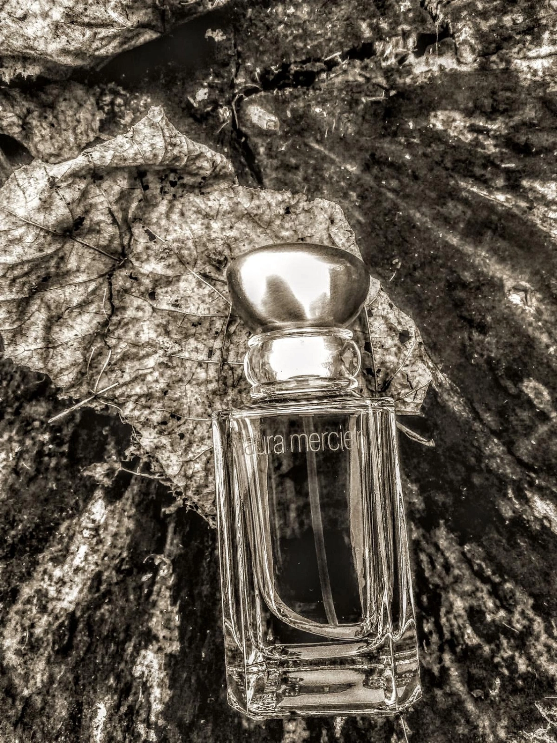 Laura Mercier Ambre Passion