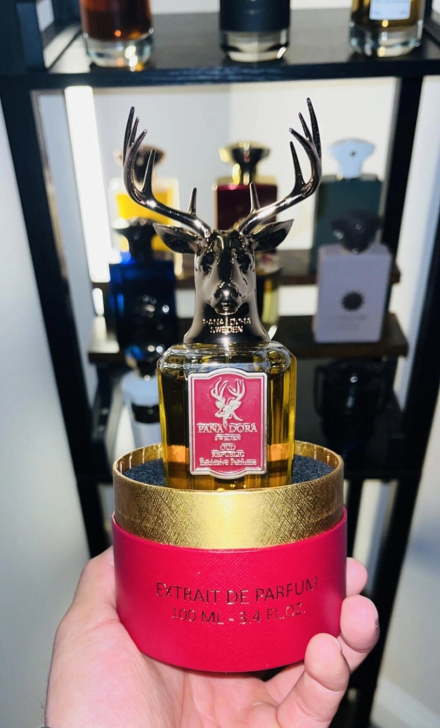 Pana Dora Oud Republic