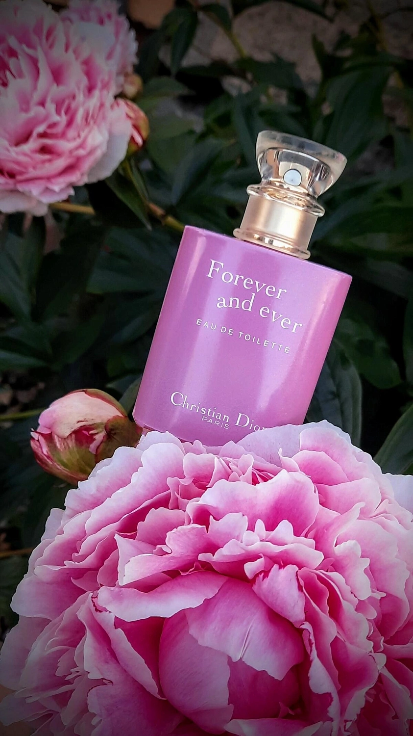 Christian Dior Forever and ever