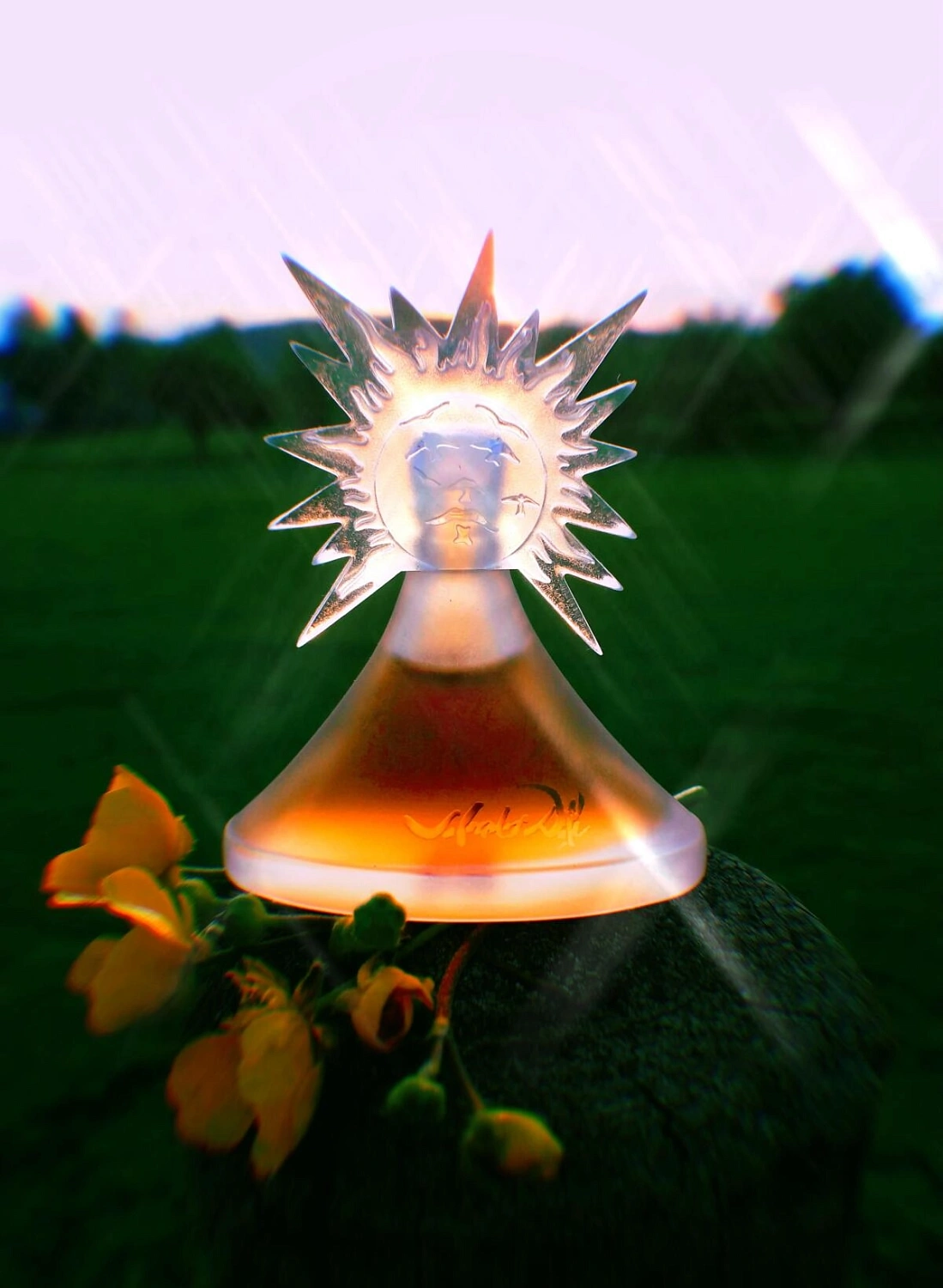 Salvador Dali Le Roy Soleil