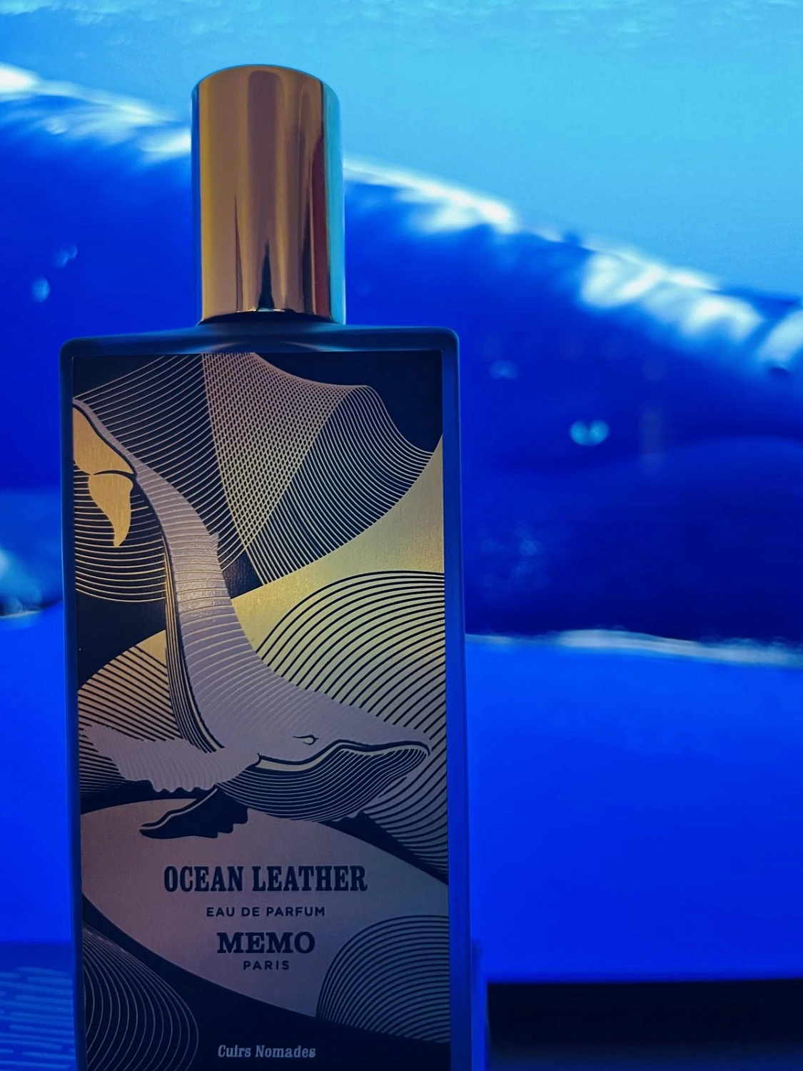 Memo Ocean Leather