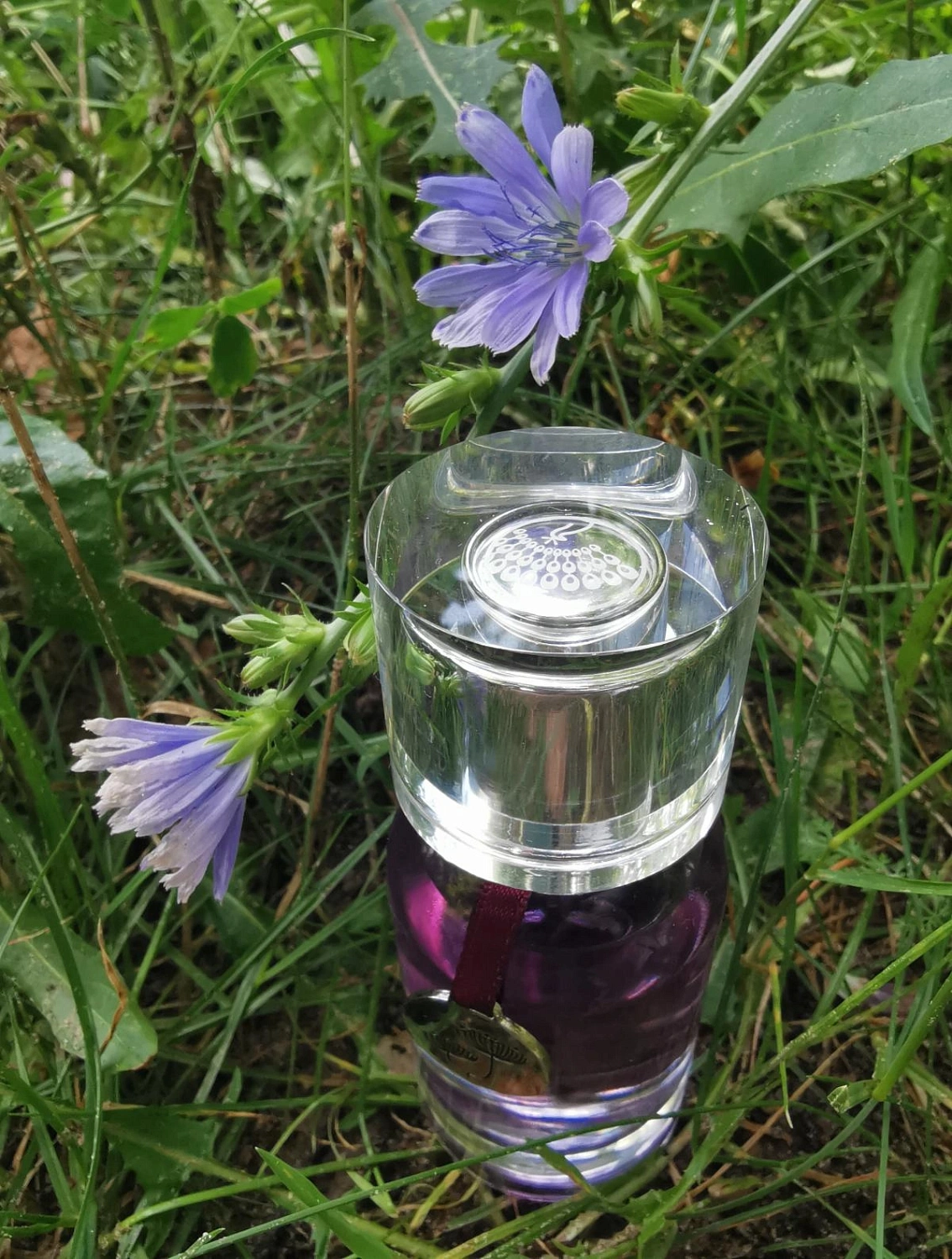 Ego facto Me Myself & I