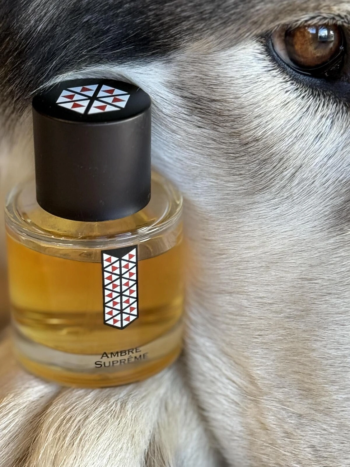 Les Indemodables Ambre Supreme