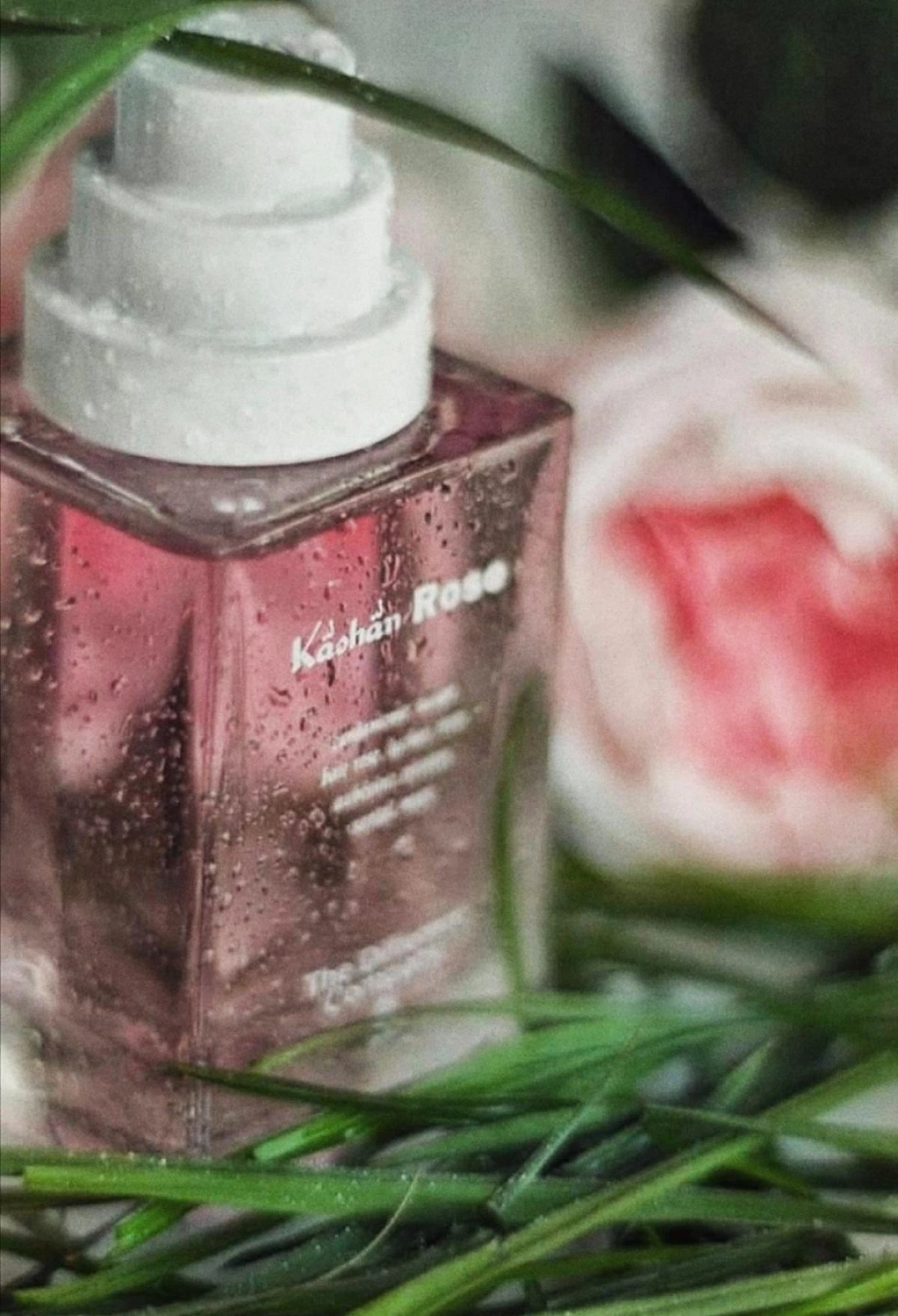 The Different Company Kashan Rose