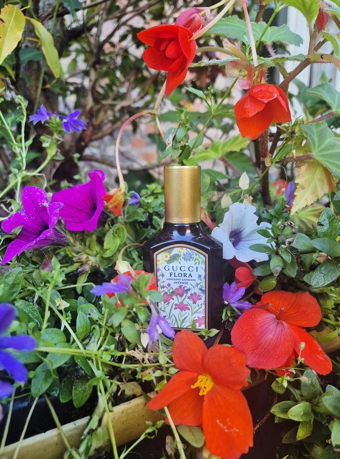 GUCCI Flora Gorgeous Gardenia Intense