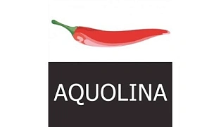 AQUOLINA AQUOLINA