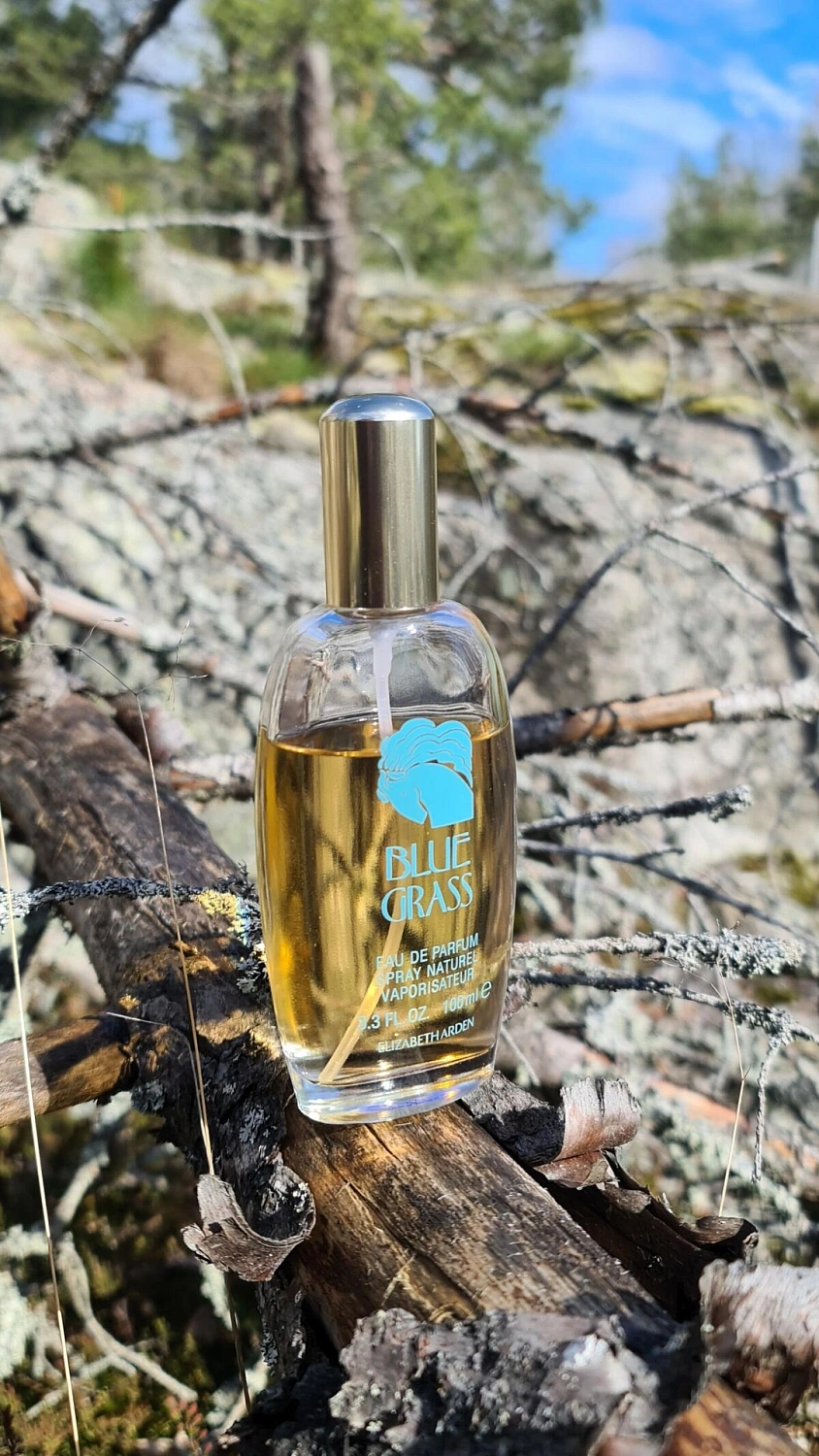 Elizabeth Arden Blue Grass