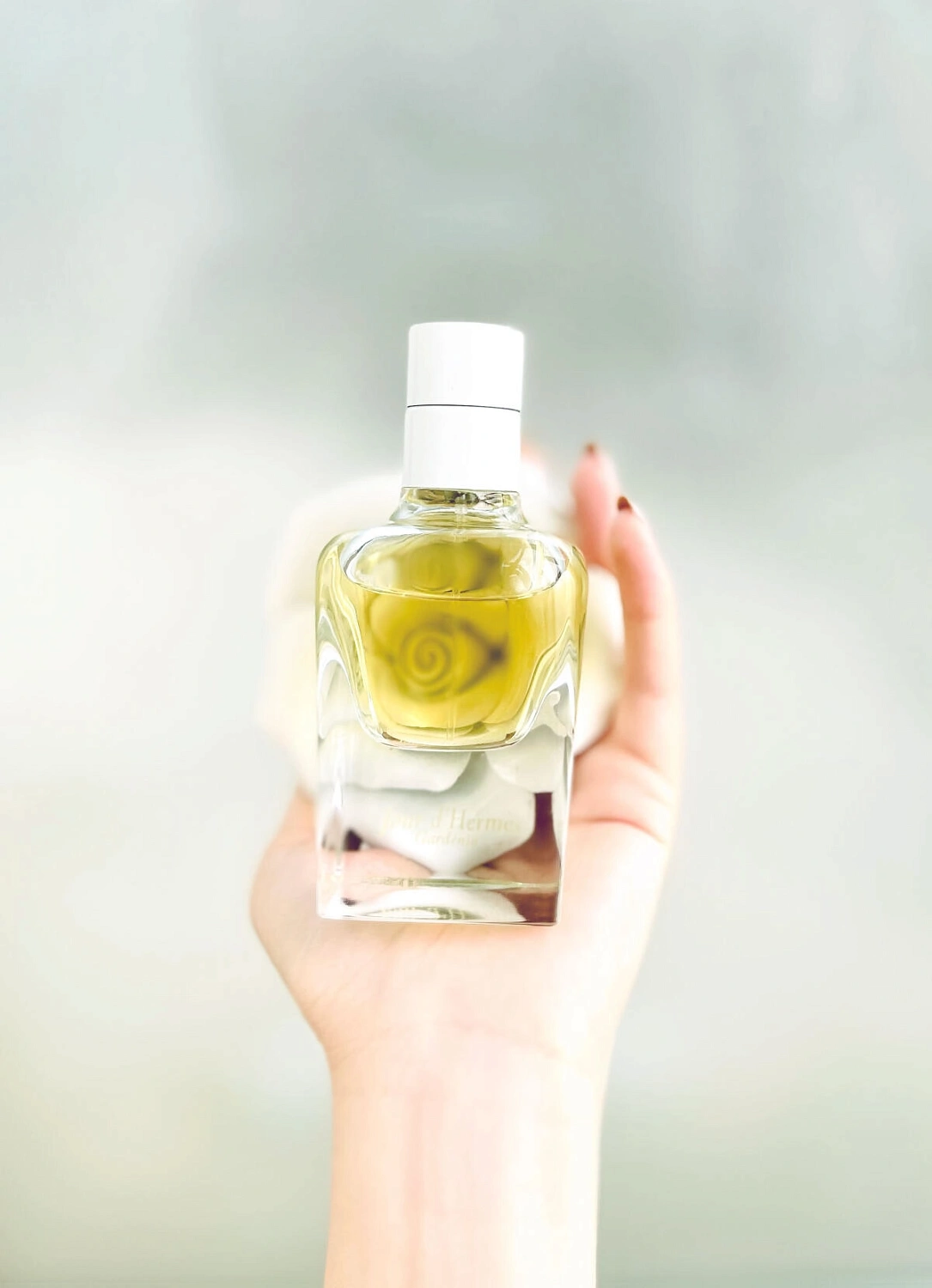 Jour d’Hermes Gardenia