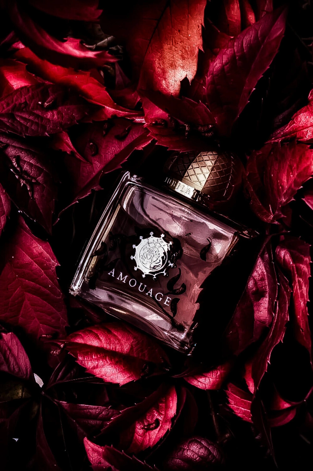 Amouage Jubilation 25 Woman