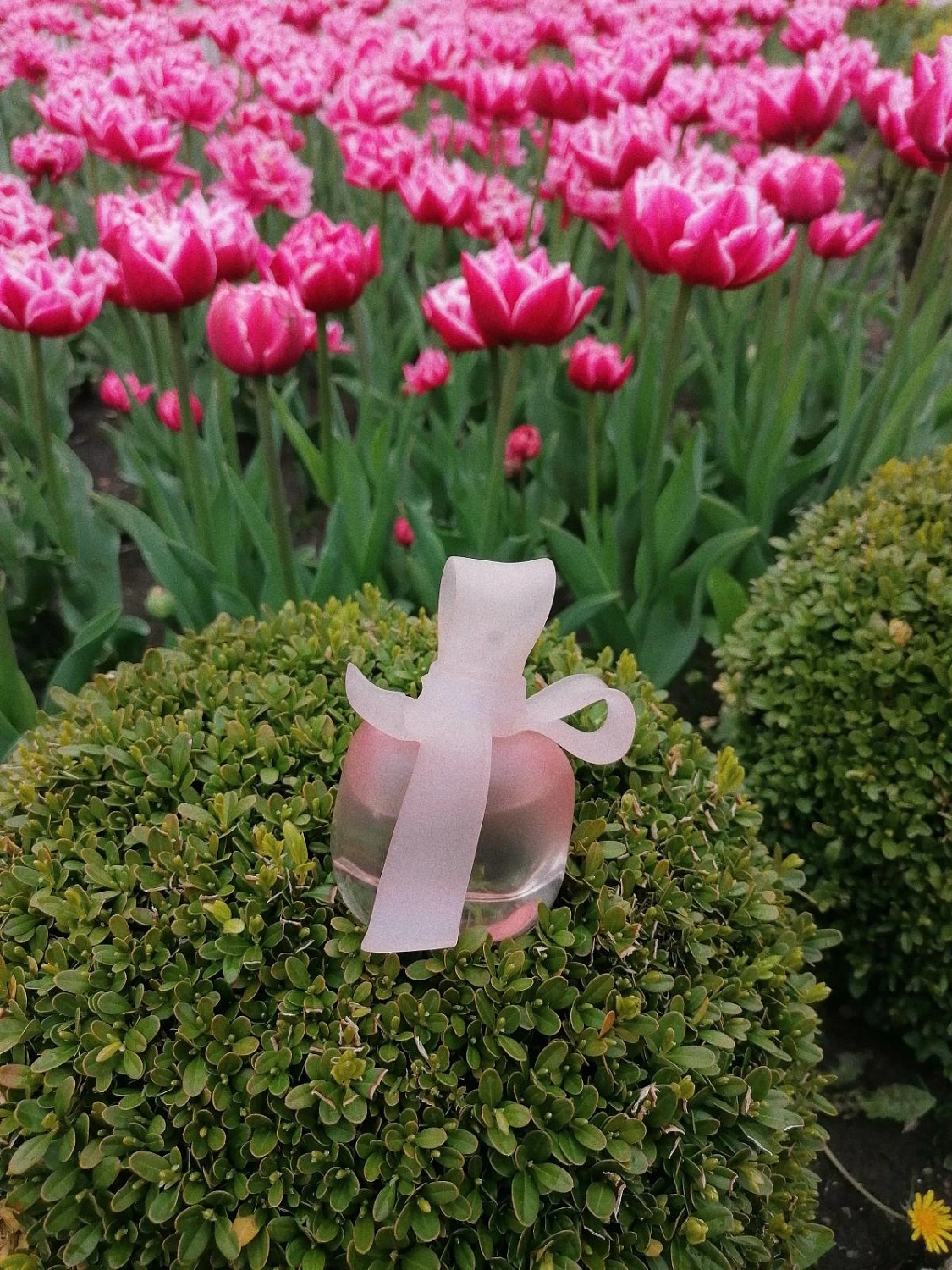 NINA RICCI Mademoiselle Ricci L’Eau