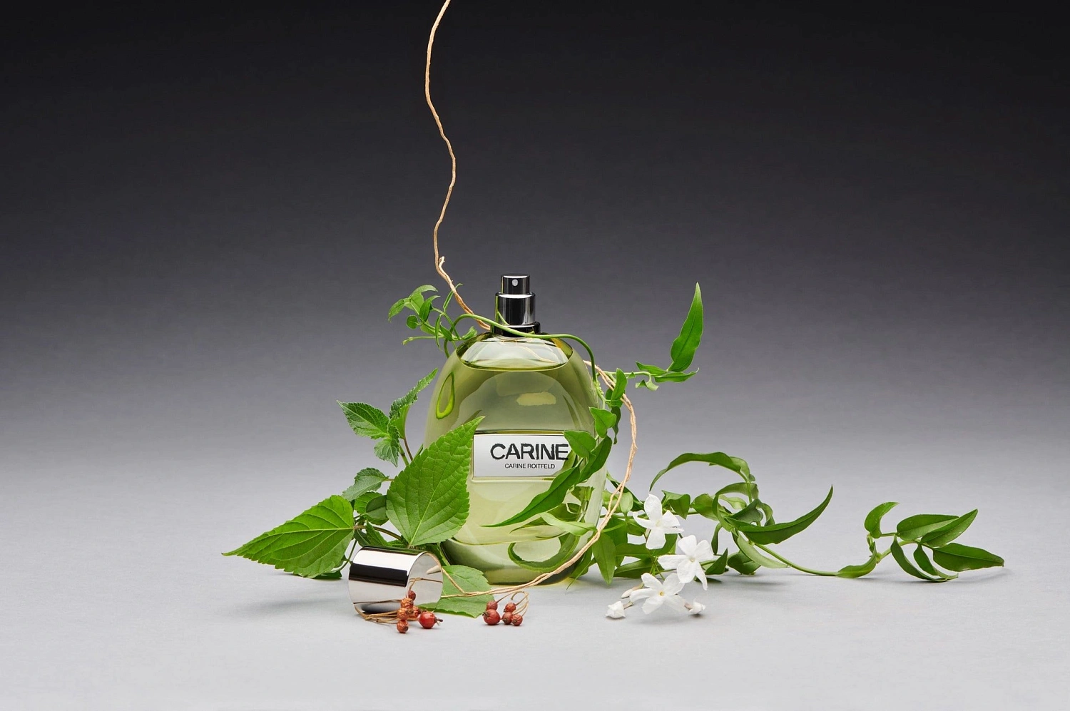 Carine Roitfeld Carine