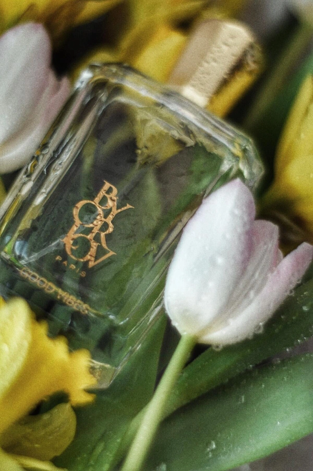 Orlov Paris Good Vibes