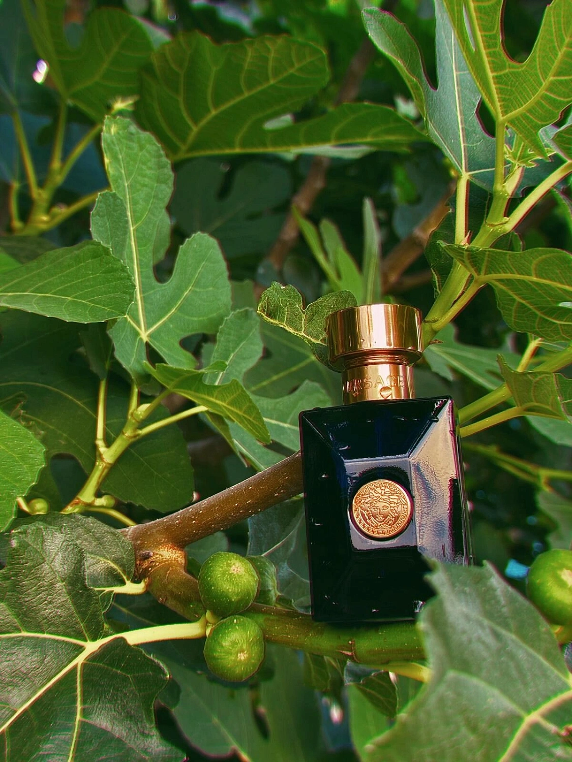 Versace Pour Homme Dylan Blue Versace Pour Homme Dylan Blue