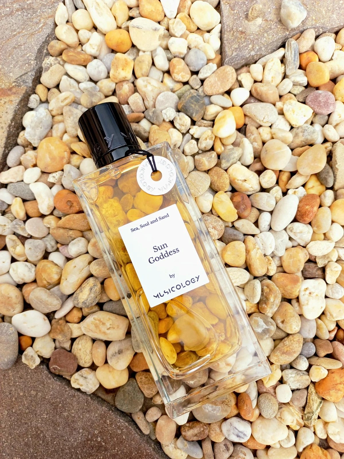 Musicology Sun Goddess